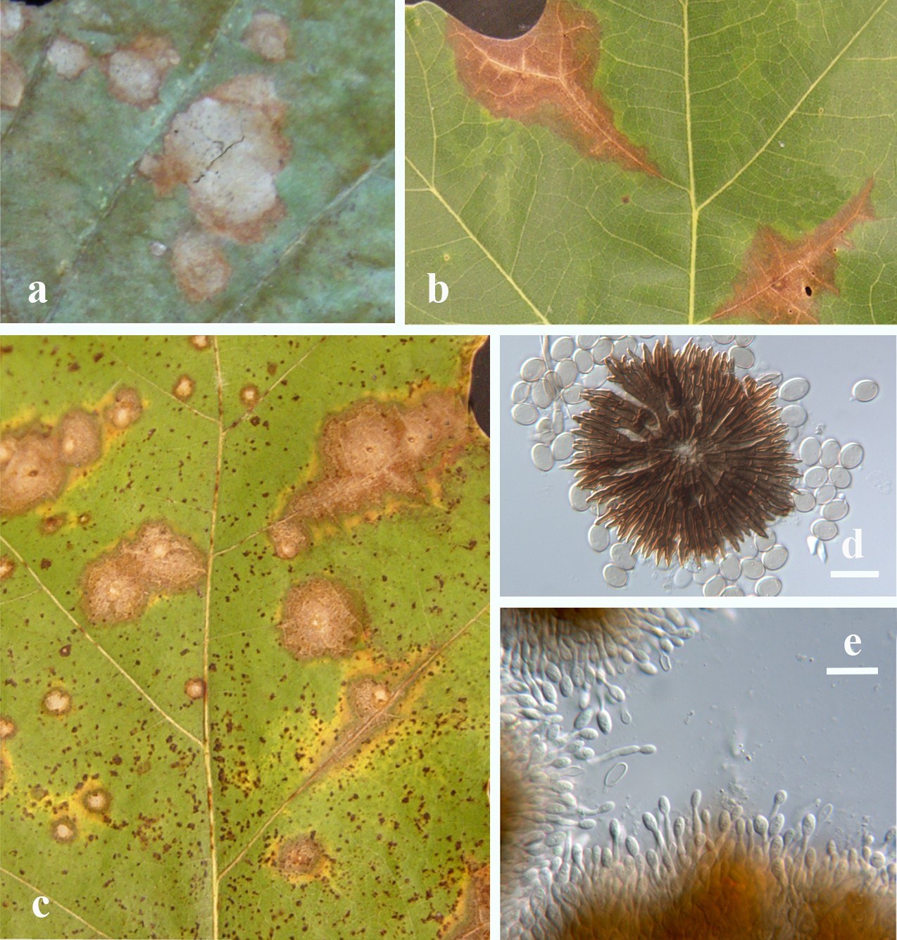 Figure 47